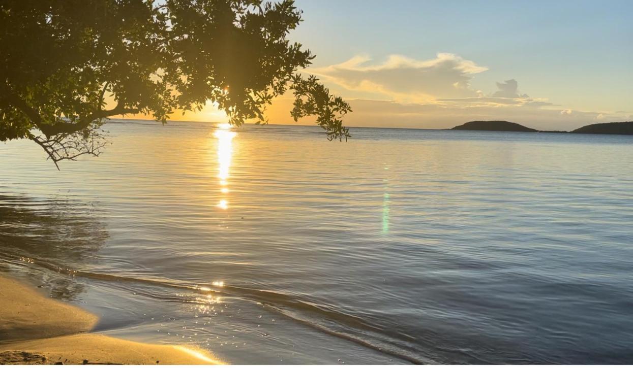 Isla CulebraEl Balcon De Lulyアパートメント エクステリア 写真