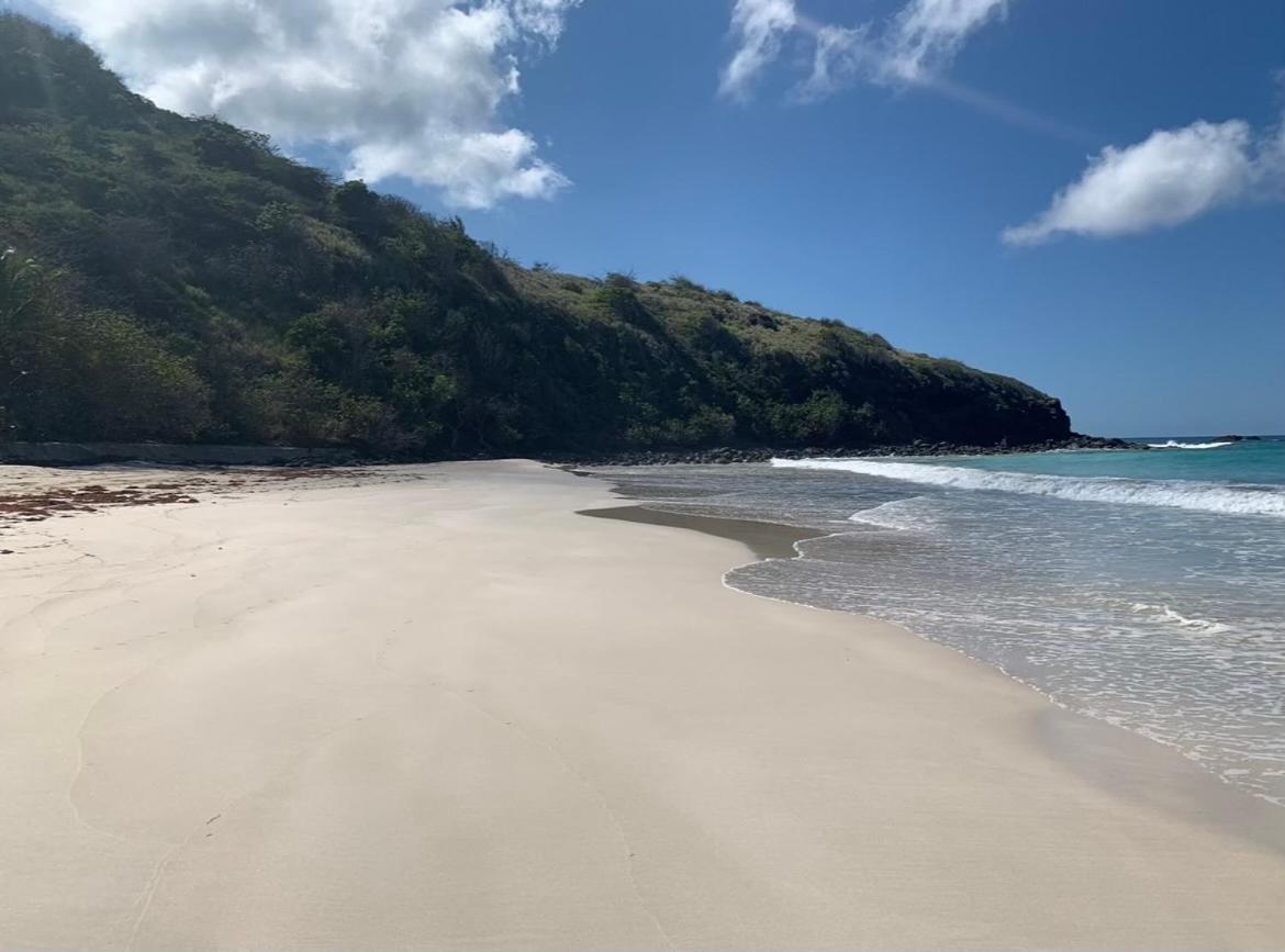 Isla CulebraEl Balcon De Lulyアパートメント エクステリア 写真