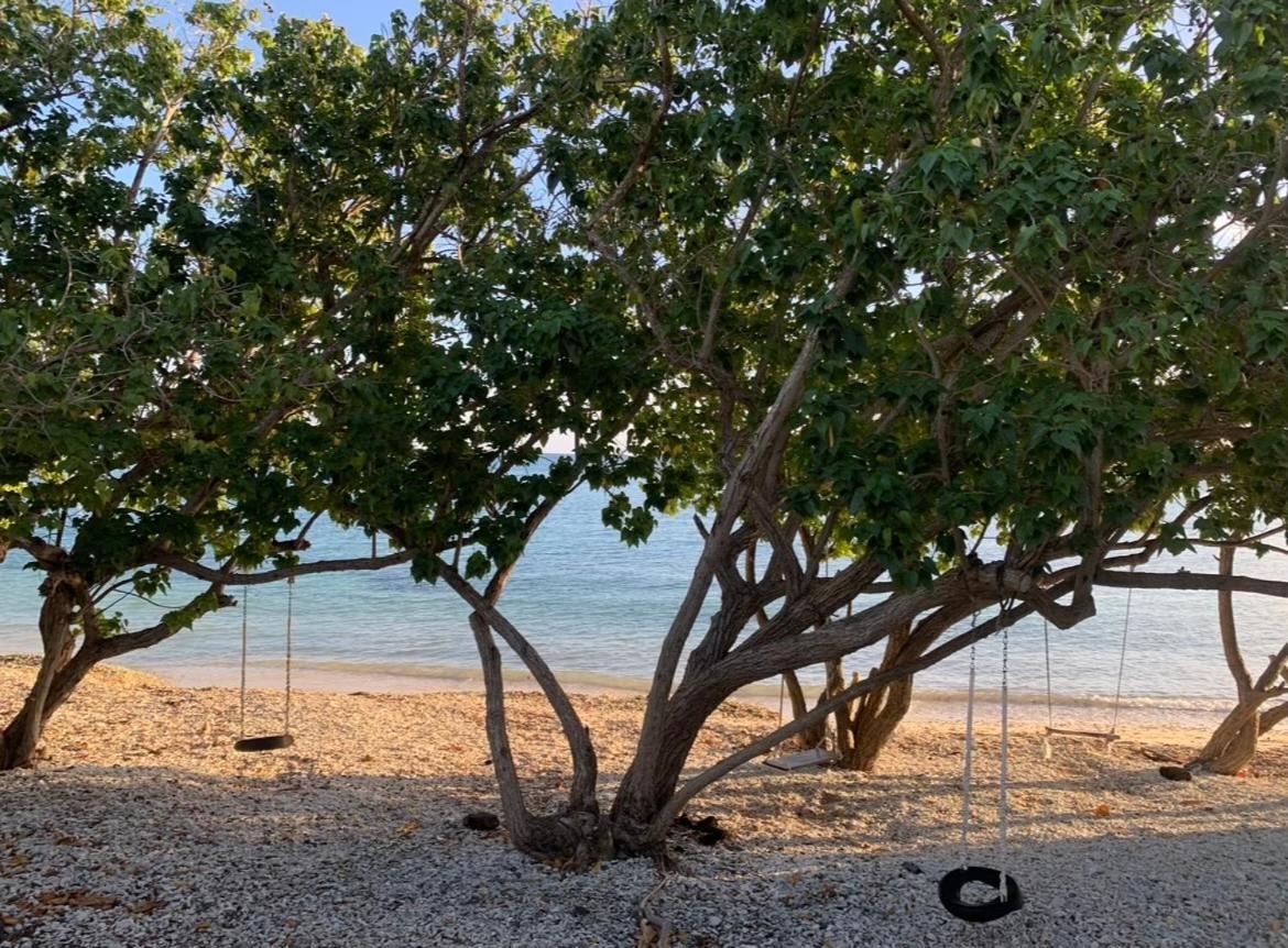Isla CulebraEl Balcon De Lulyアパートメント エクステリア 写真